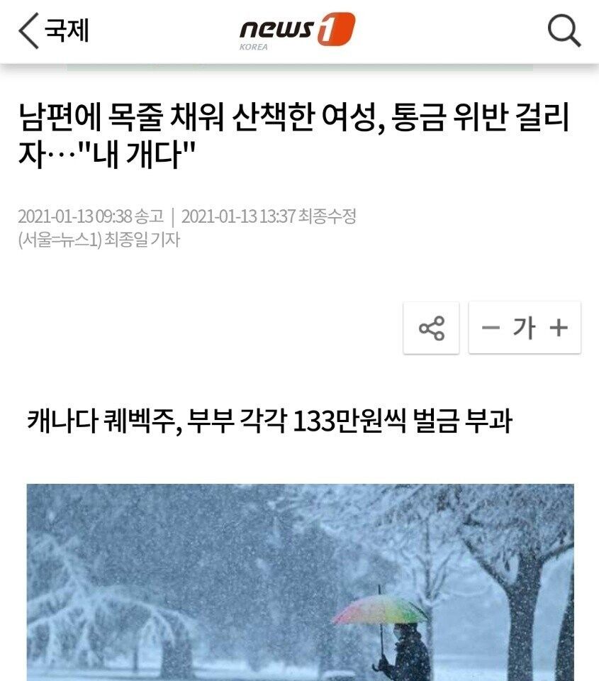 의외로 외국에서 산책으로 하면 안되는 행동