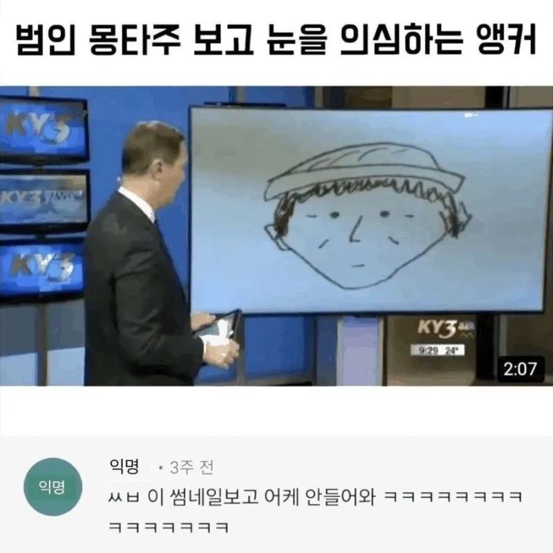 눈을 의심케하는 범인 몽타주.