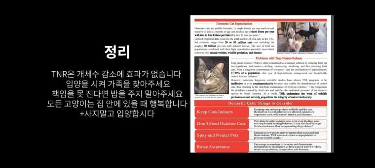 캣맘 저격했던 유튜버 댓글창