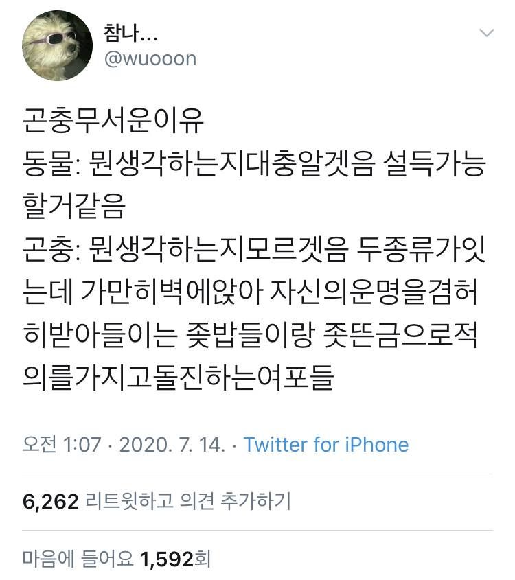 피식 웃음 나오는 웃긴짤 모음4