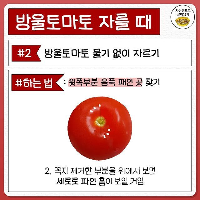 전혀 몰랐던 토마토 자르는 법