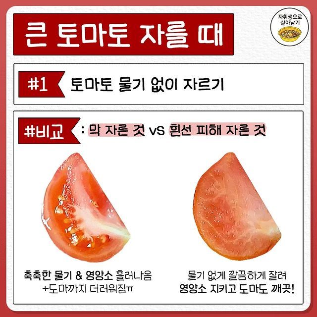 전혀 몰랐던 토마토 자르는 법