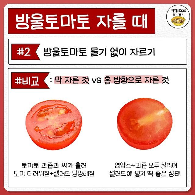 전혀 몰랐던 토마토 자르는 법