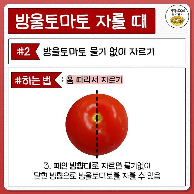 전혀 몰랐던 토마토 자르는 법