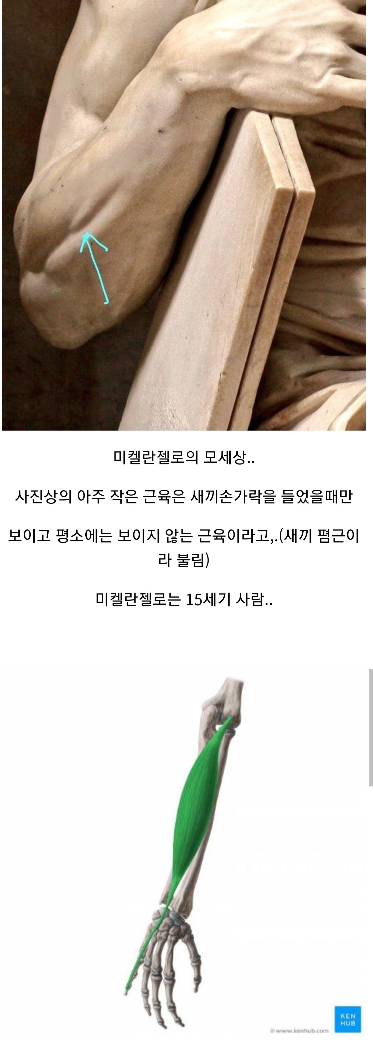 미켈란젤로의 디테일