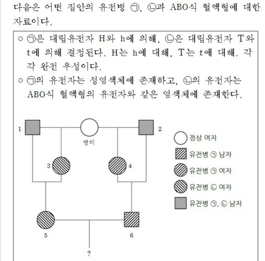 뭔가 끔찍한 과학 문제