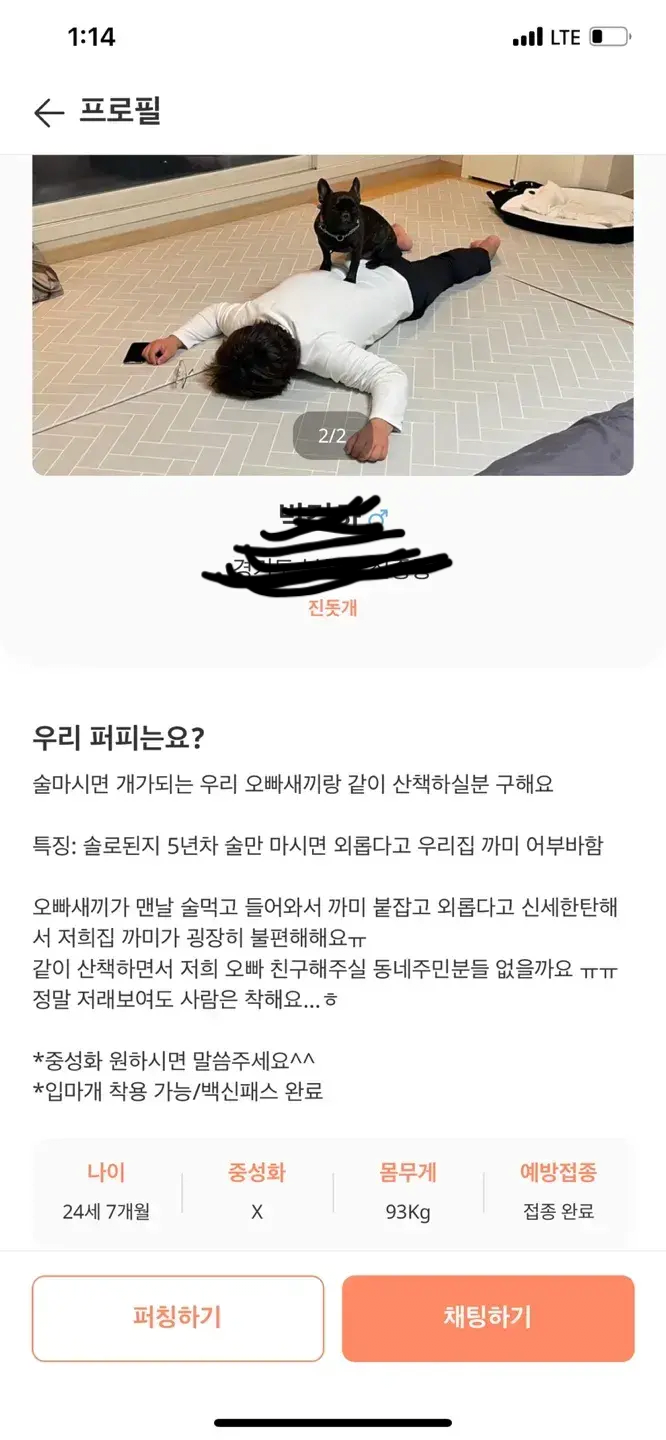 술 마시면 개가 되는 우리 오빠랑 산책하실 분 구해요