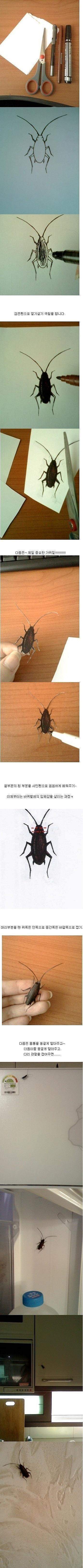 진짜 같은 가짜.