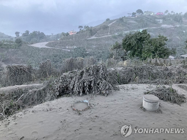 [기타] 화산재가 삼킨 카리브해 세인트빈센트섬…전기·물도 끊겨