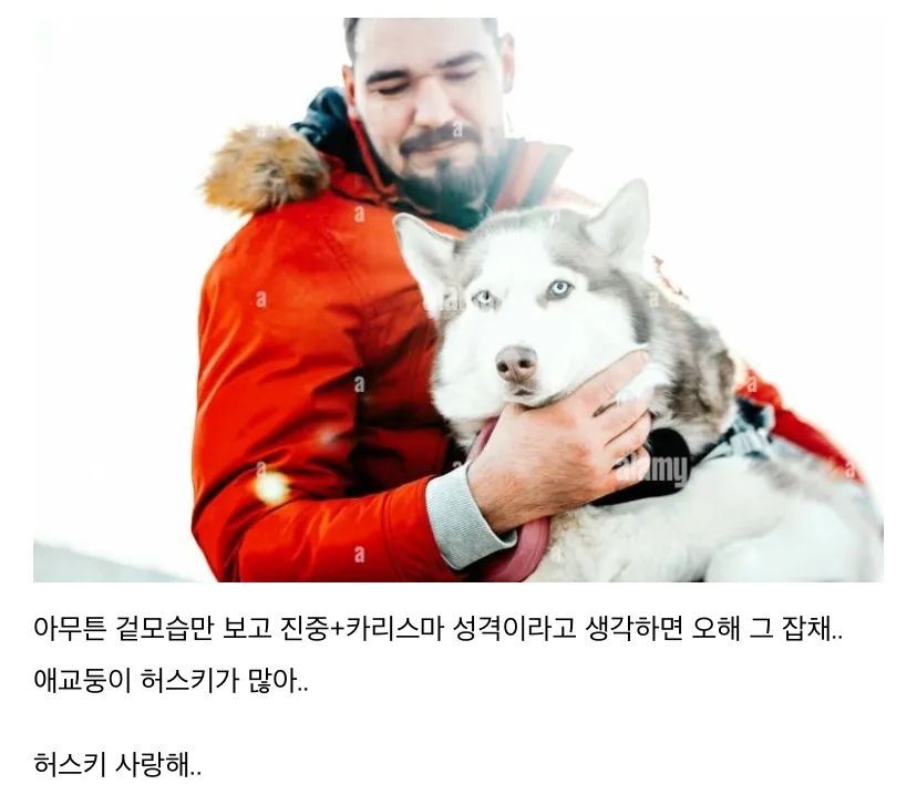 허스키에 대해 알아보자