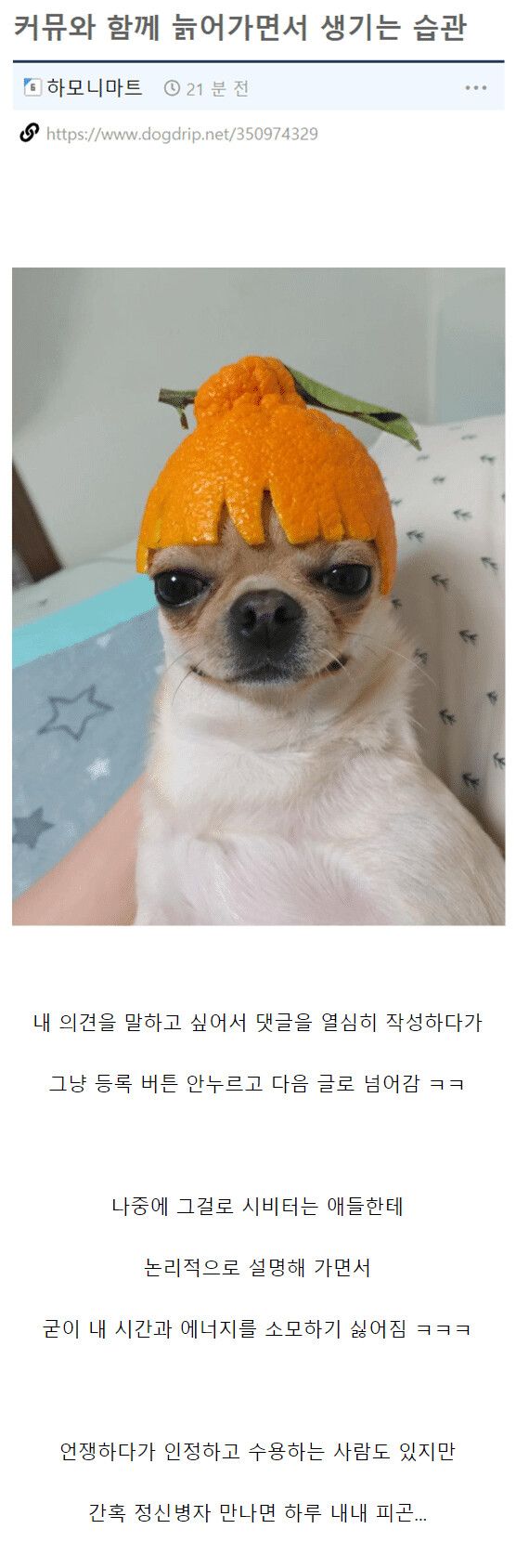 요즘 커뮤니티 분위기