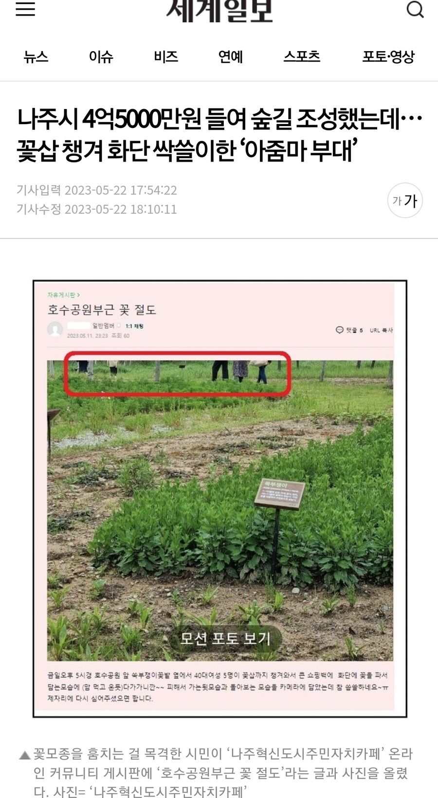 꽃삽 챙겨 공원 화단 싹쓸이한 ‘아줌마 부대’