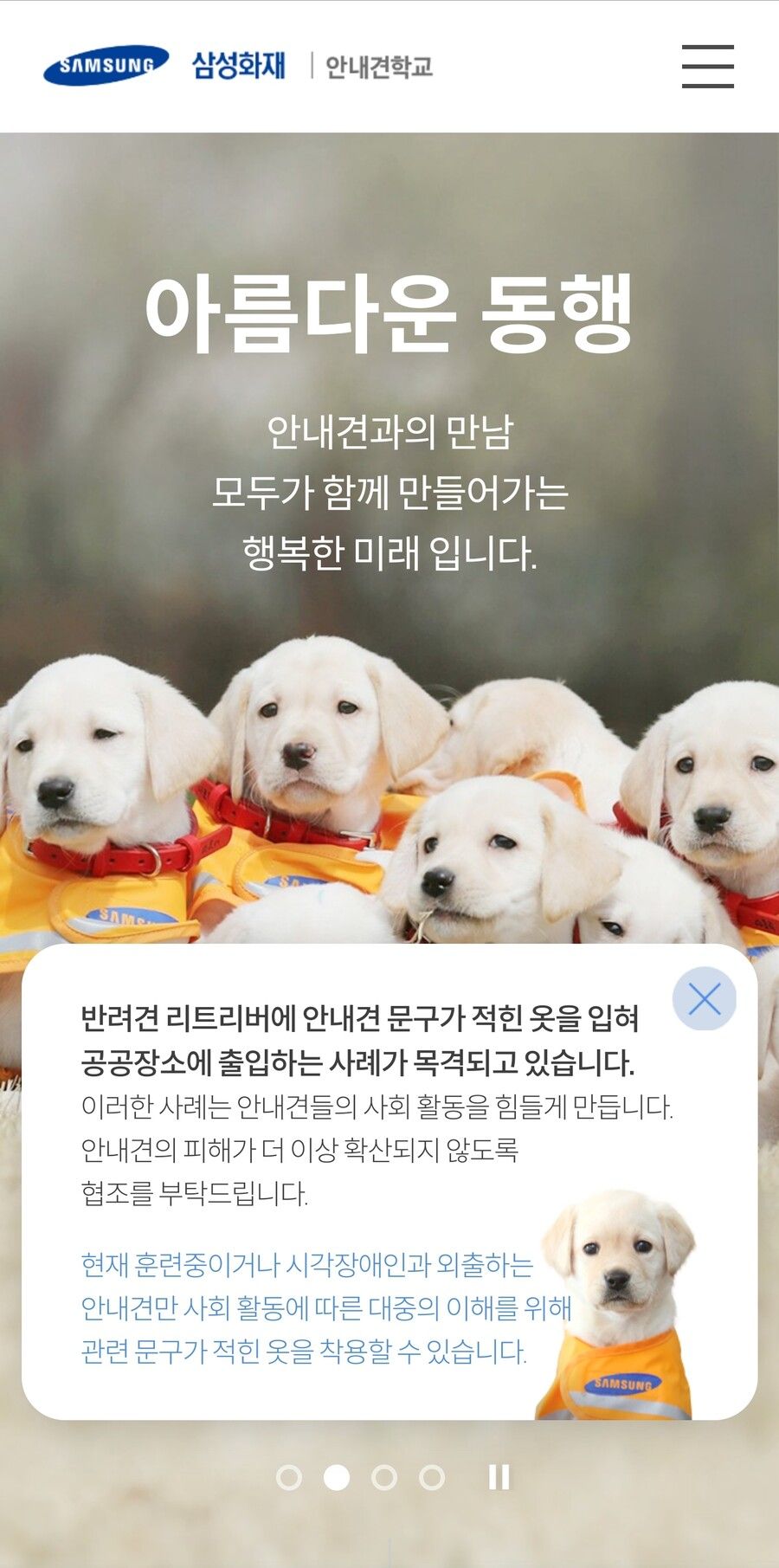 안내견 제도 근황