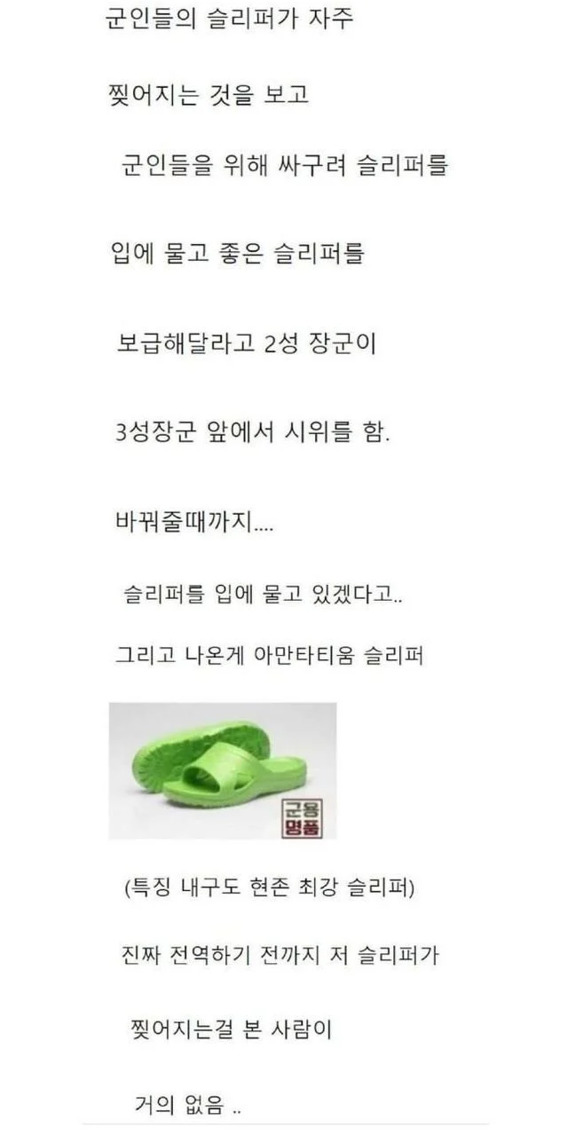 투스타 장군이 슬리퍼를 문 이유