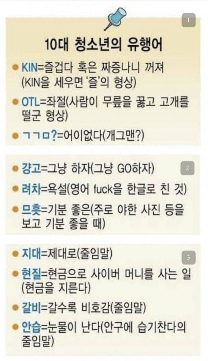 우리들이 꼭 알고 가야 할 최신 유행어