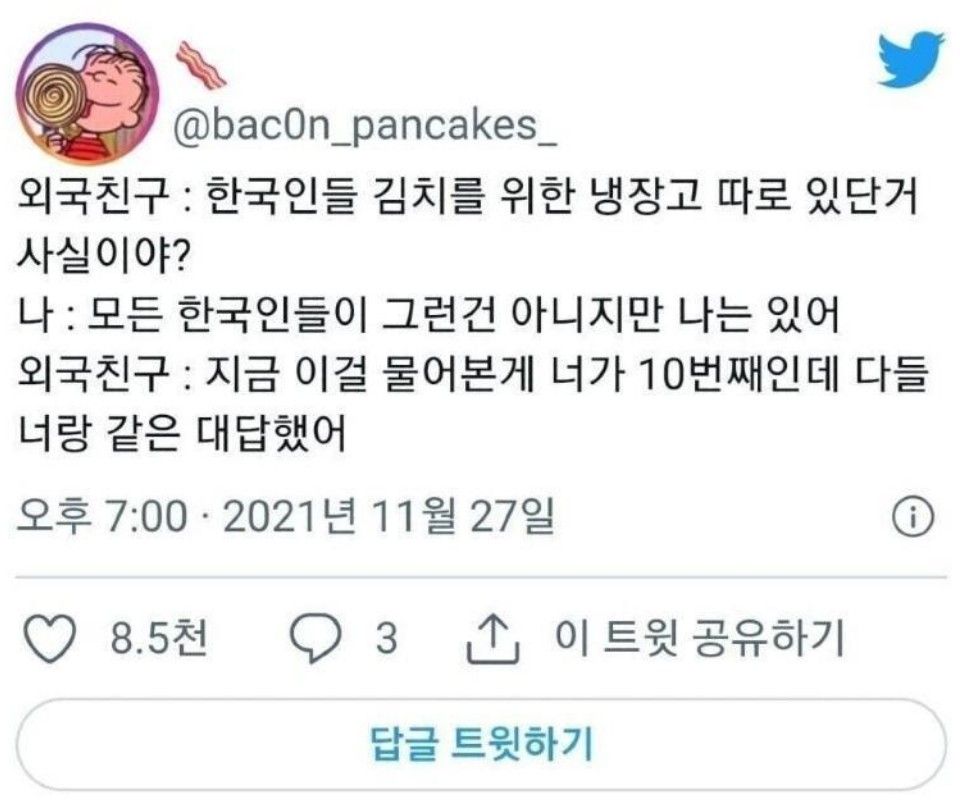 외국인:한국 집에는 진짜 이런게 있어?