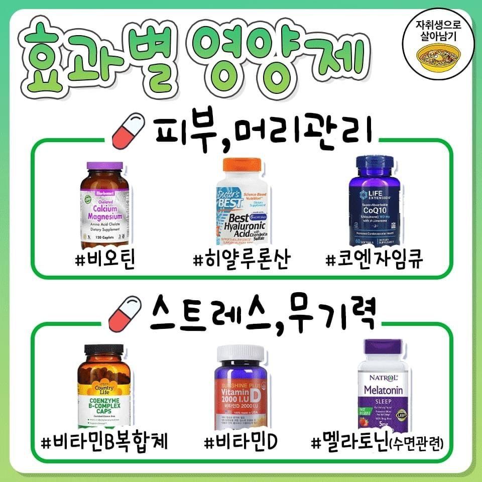 효과별 영양제