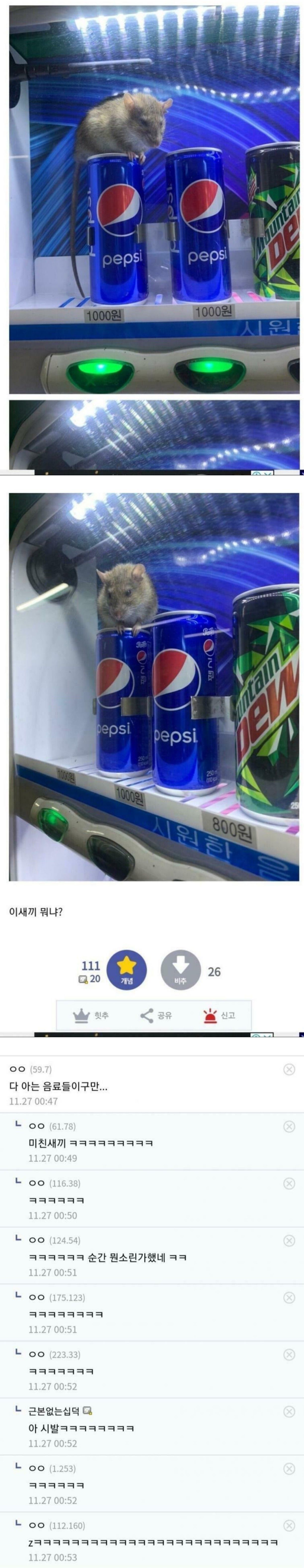 자판기 대참사 댓글류