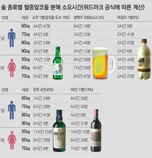 술 종류별 혈중알콜 분해 소요시간