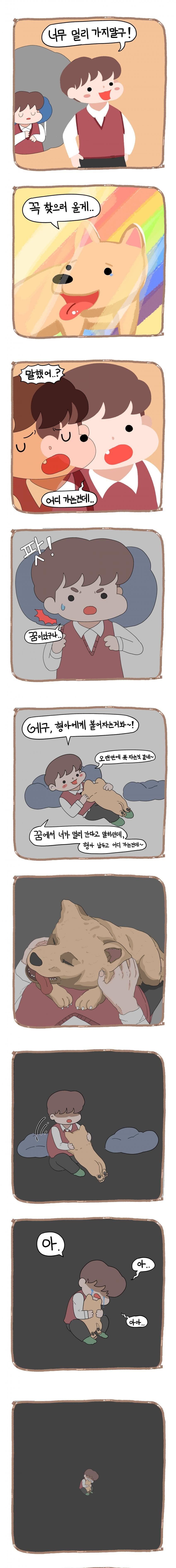 강아지 무지개 다리 건너는 만화