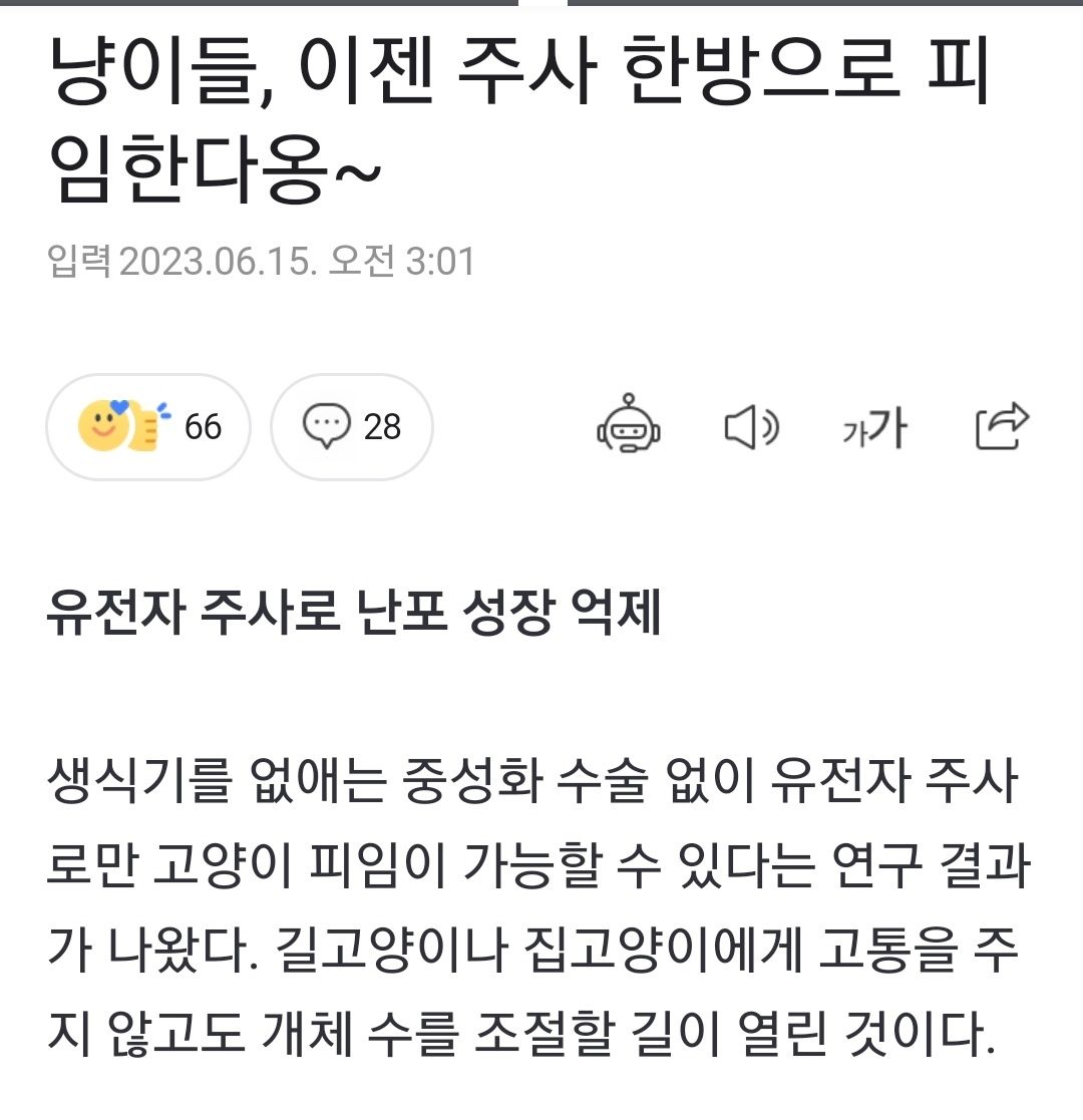 캣맘들 쿵광쿵쾅될 소식ㅋ