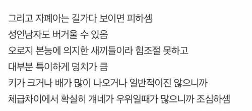 초등생 깨문 고등학생 자폐인