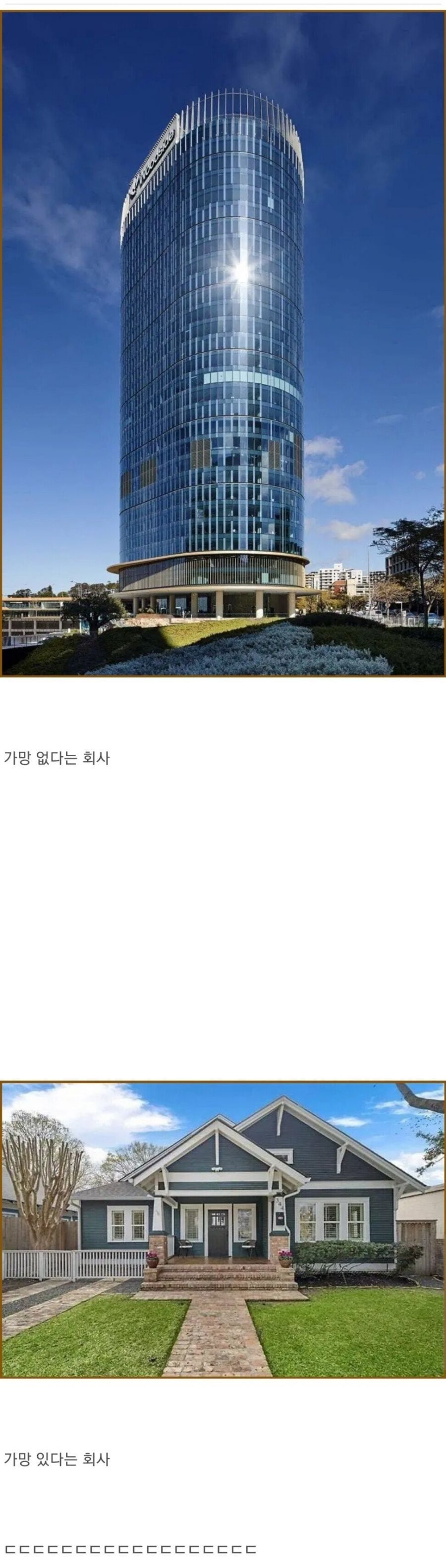 가망 없다는 회사 가망 있다는 회사