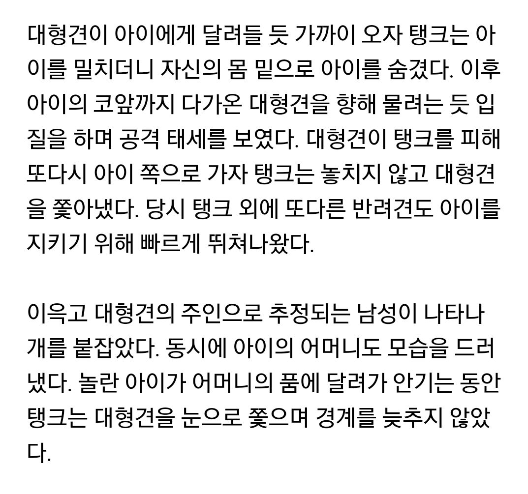 작은 주인을 지킨 반려견