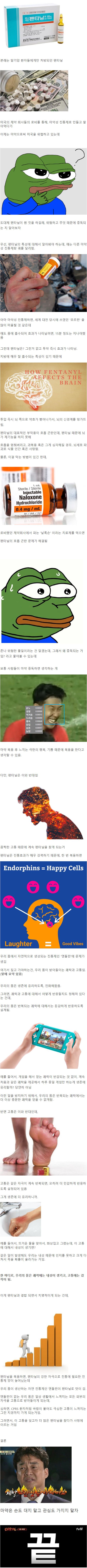 펜타닐 위험성