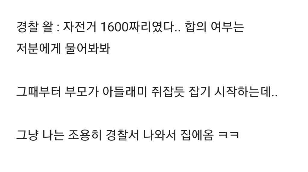 1600만원 자전거 분실 후기