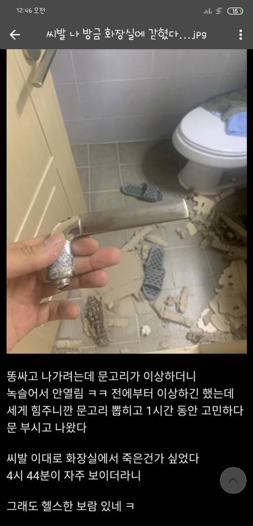 헬스한 보람을 드디어 찾음