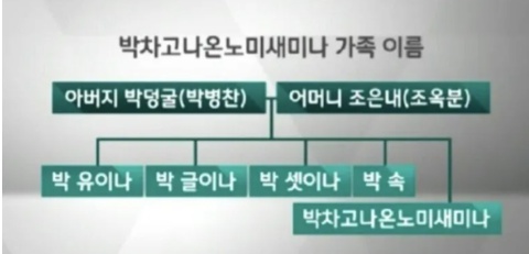 작명 이유가 너무 궁금한 특이한 이름들