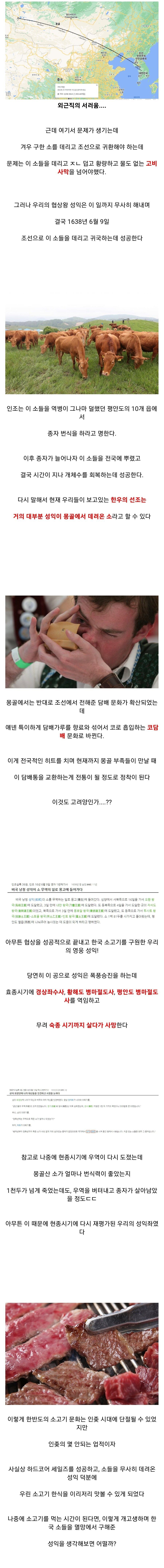 인조가 그래도 잘한 일 중 하나