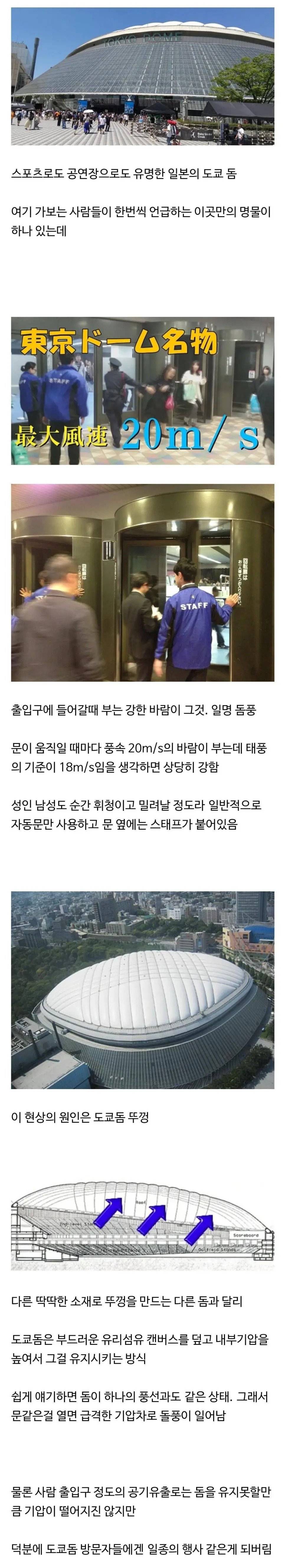 일본 도쿄돔에서만 할 수 있는 경험