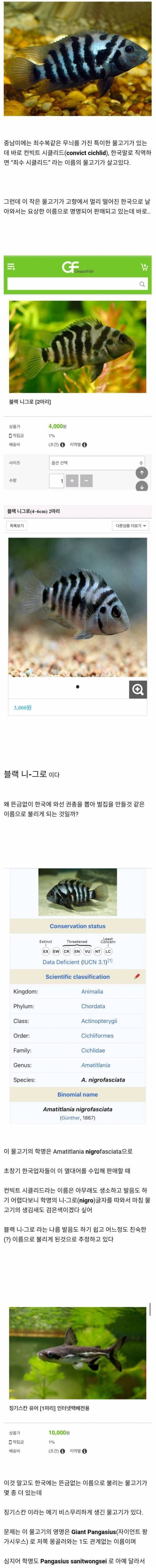 한국에서만 부르는 물고기 이름