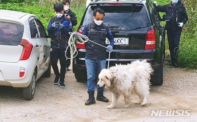 [기타] 남양주 야산 입구에서 50대 여성 습격한 대형견 ,,,