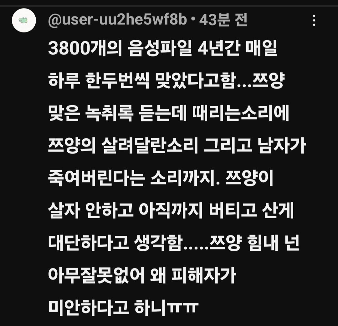 쯔양 뉴스 댓글 렉카충들