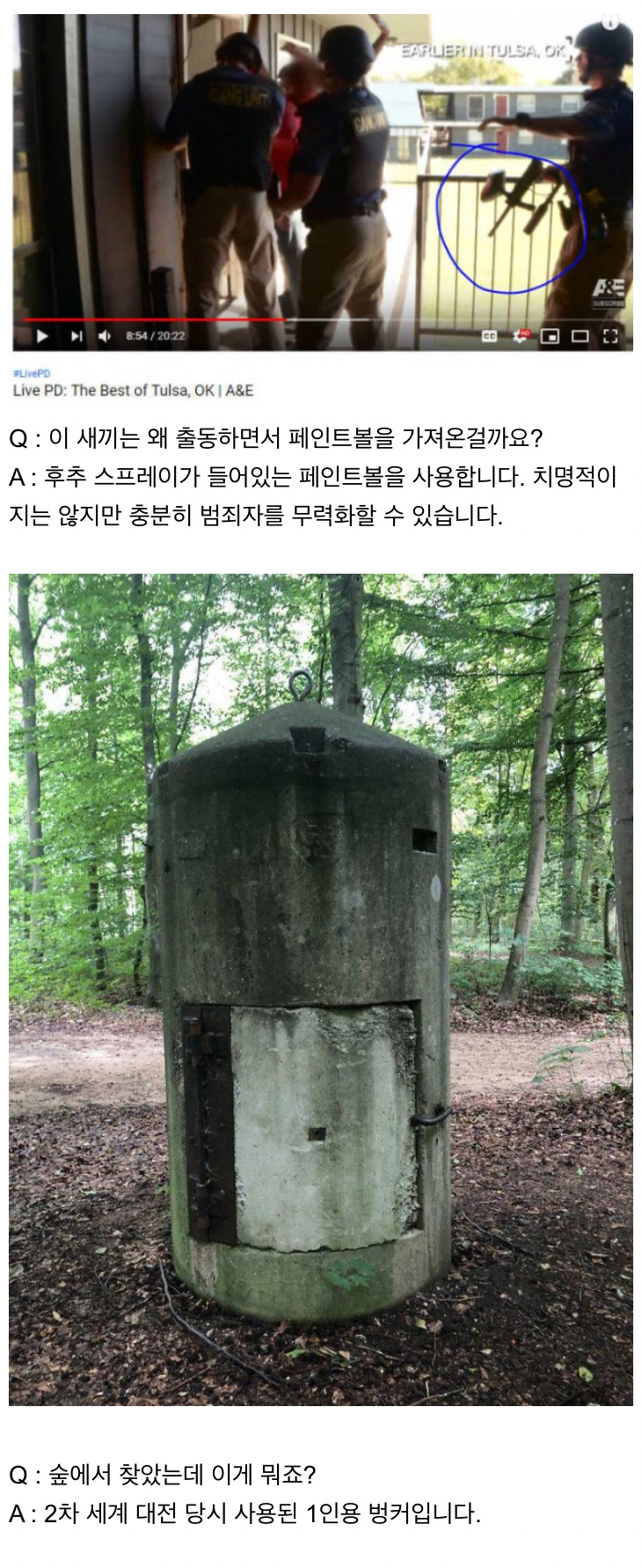 인터넷은 모든 걸 알고 있다