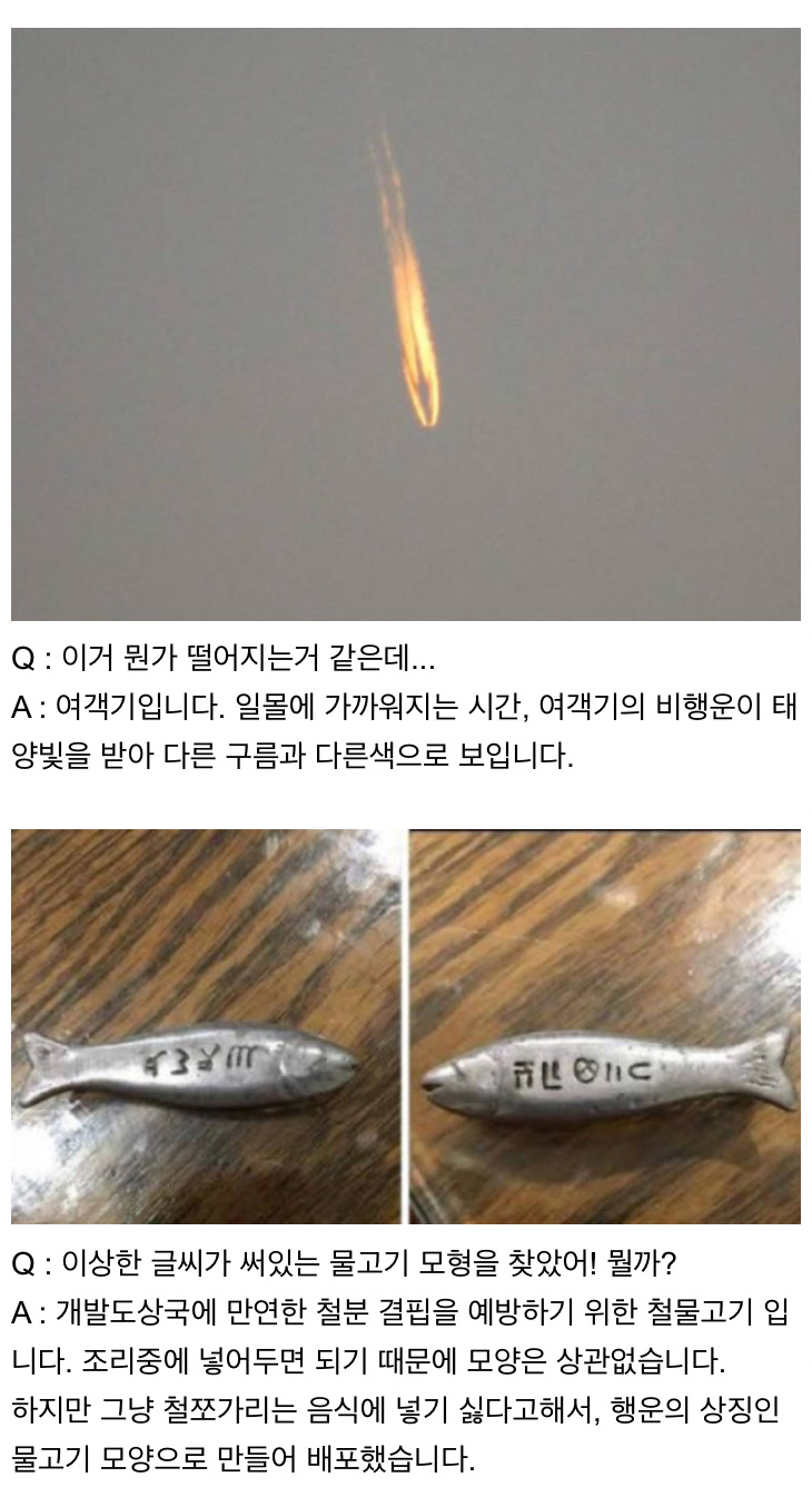 인터넷은 모든 걸 알고 있다