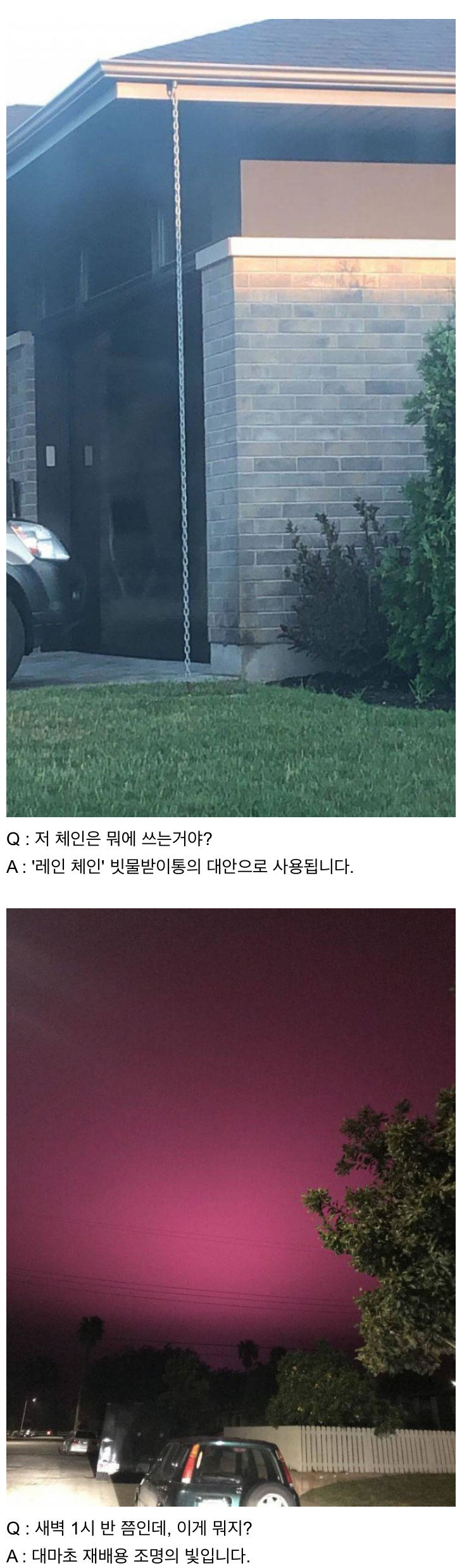 인터넷은 모든 걸 알고 있다