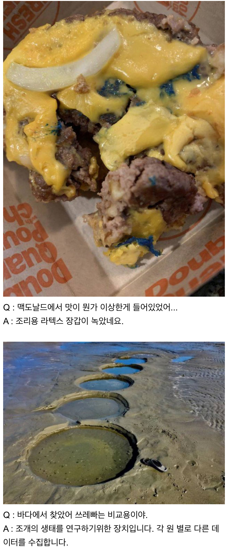 인터넷은 모든 걸 알고 있다