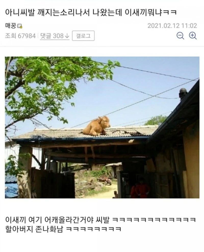 싱글벙글 소오름