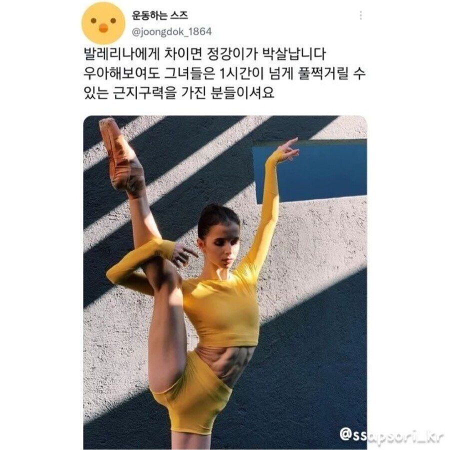 의외로 매우 센 스포츠