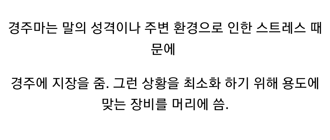 경주마들이 머리에 쓰는 장비