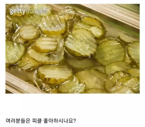 피클이 울퉁불퉁한 이유.