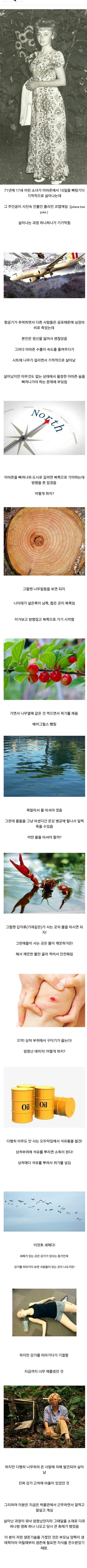 베어그릴스 실사판