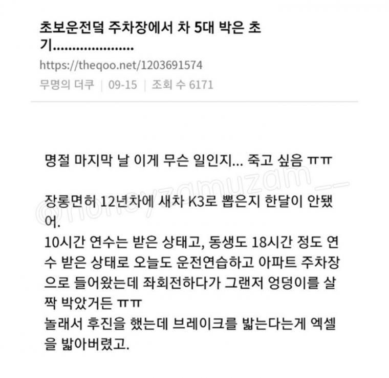 주차장에서 차 5대를 박은 초보