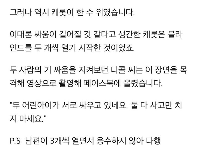 남편과 기싸움 하는 고양이