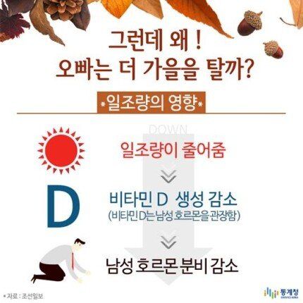 남자들이 가을에 우울해지는 이유