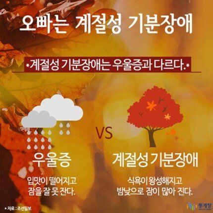 남자들이 가을에 우울해지는 이유